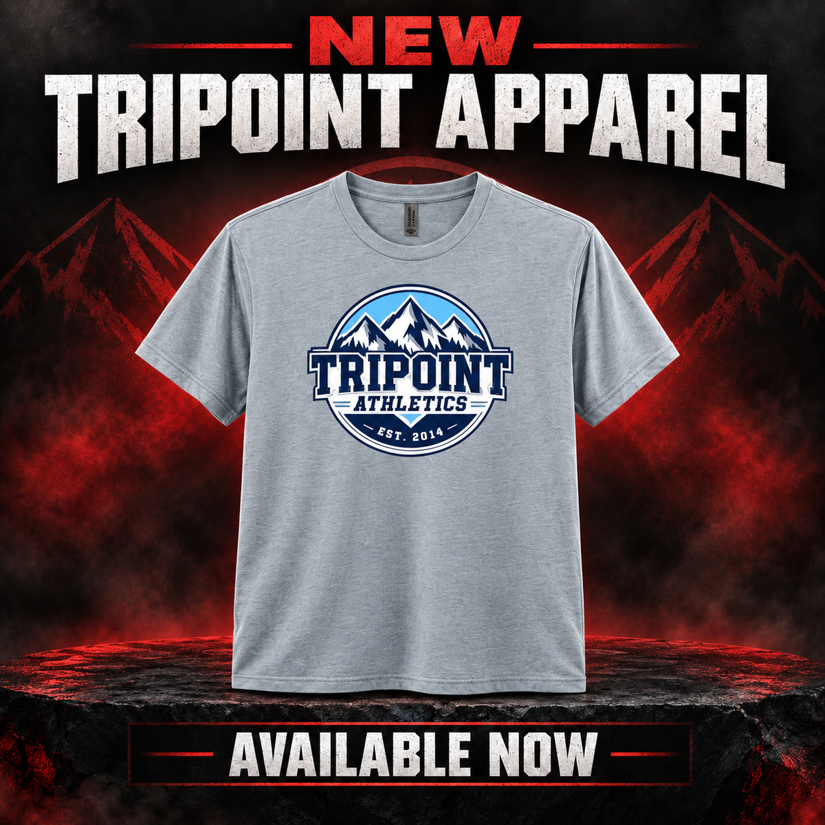 Graphic T shirt gray