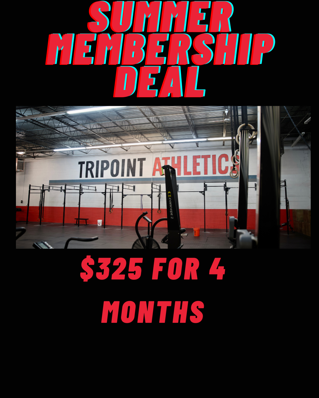 4 months for $325